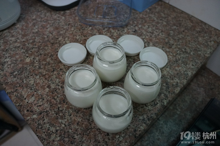 我的酸奶DIY