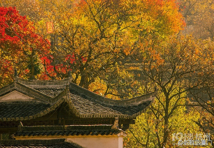 塔川和石城葉子紅了，一起去攝影吧