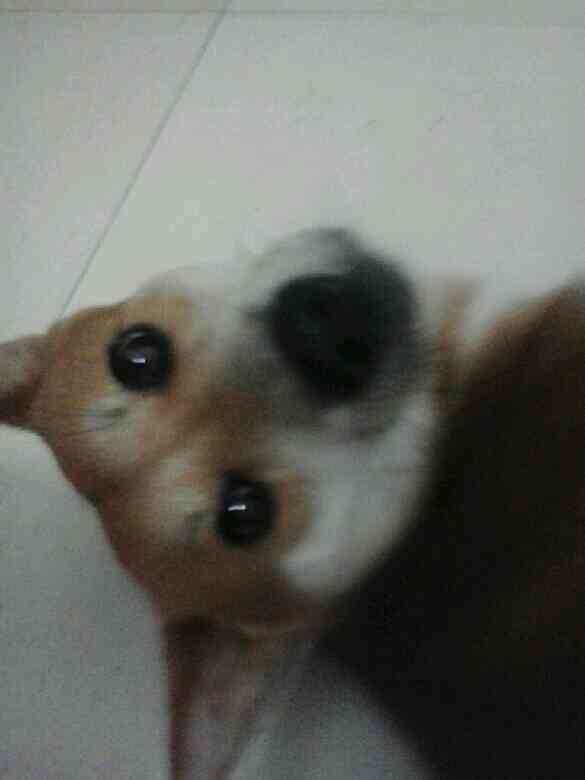 又翻到你的照片了 心里真的好难过好难过