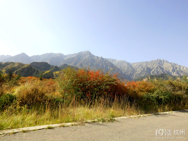 一路向西，日光傾城-----------西北旅行日記