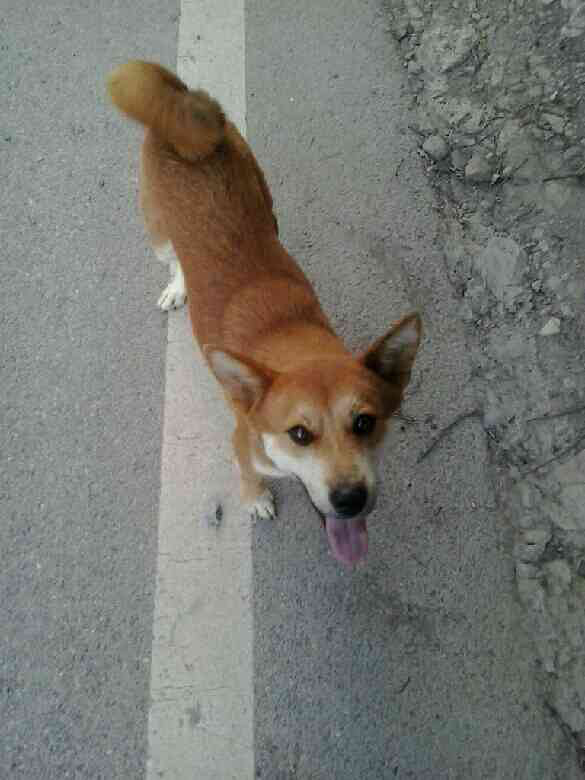 又翻到你的照片了 心里真的好难过好难过