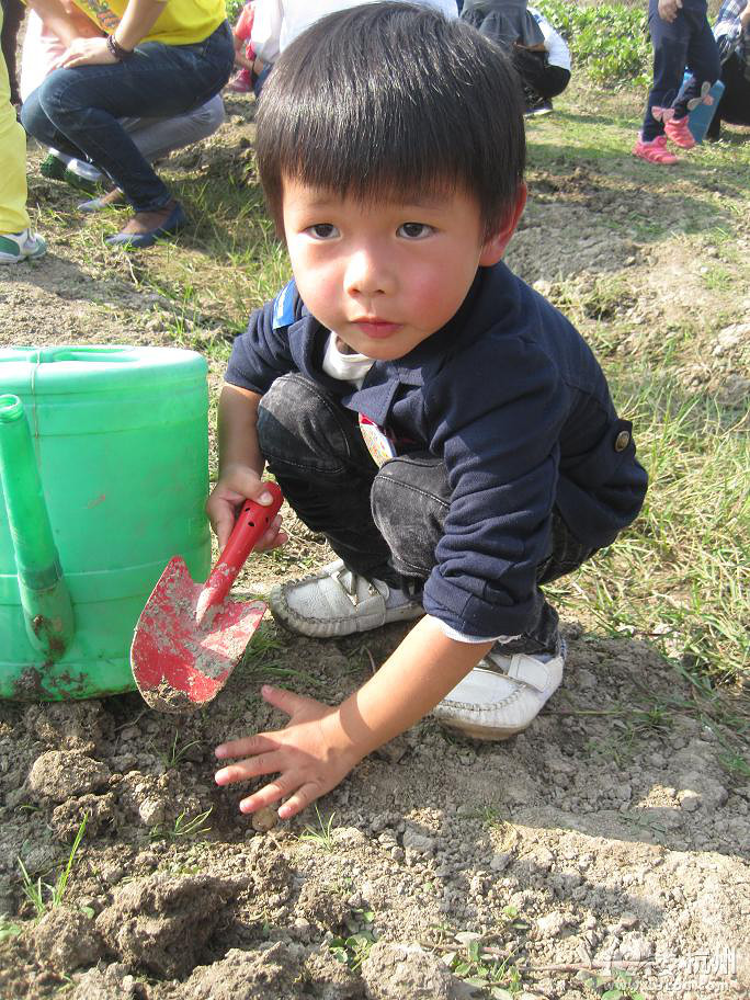 亲子嘉年华我是小小农场主回顾贴--我们明天