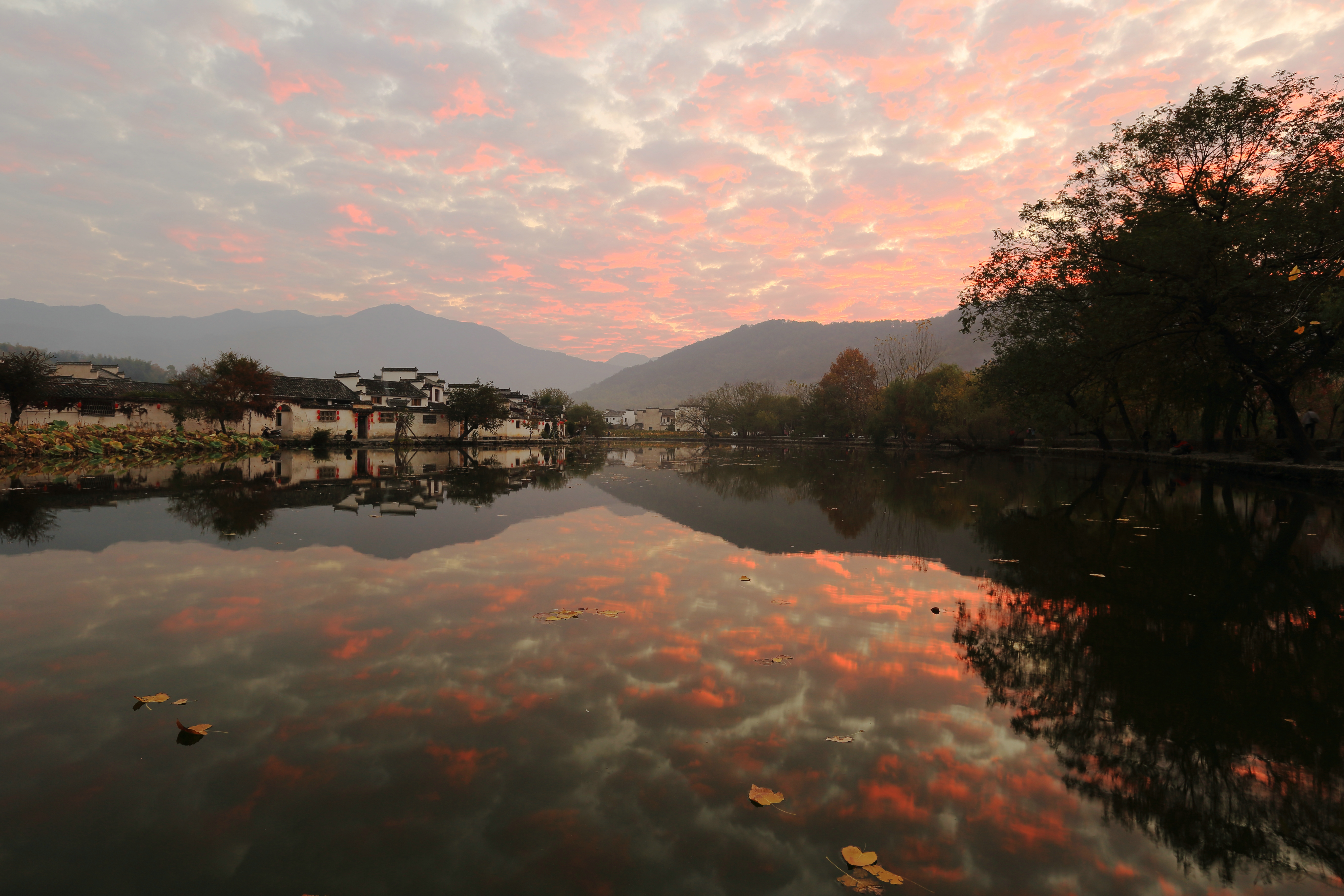 安徽宏村南湖,月沼,塔川秋色-风景照-19摄区-杭州19楼