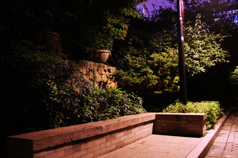 夜晚的院子静悄悄