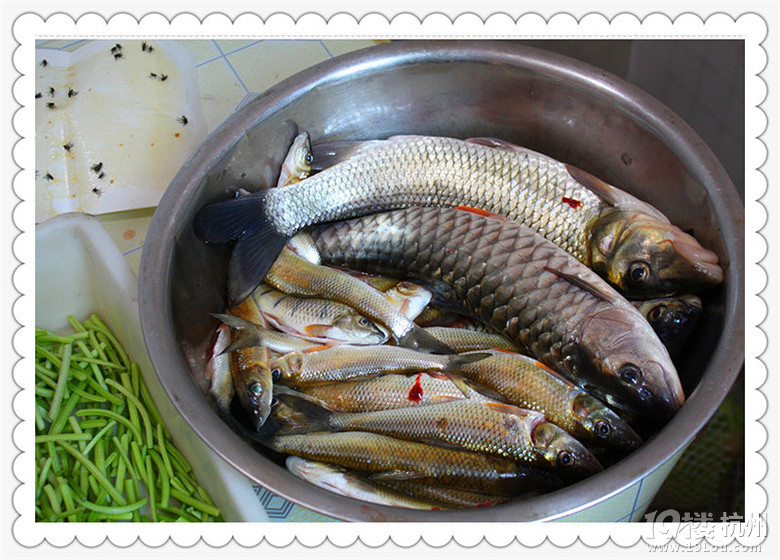 4(du)ཱུ2013ʳӛ£ 