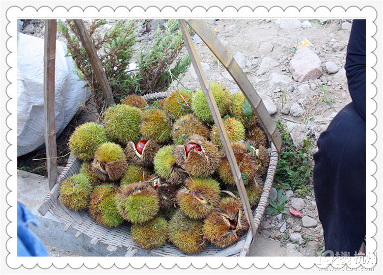 4(du)ཱུ2013ʳӛ£ 