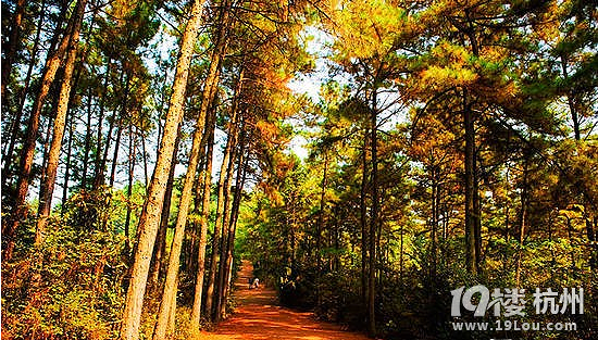 12.1大禹 甘玲水庫 長樂林場  娘娘山【附路線和精彩pp】
