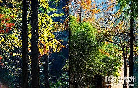 12.1大禹 甘玲水庫 長樂林場  娘娘山【附路線和精彩pp】
