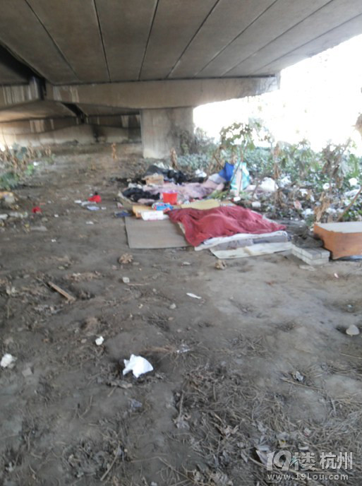 益优呼吁大家加入随手拍,参与暖冬行动