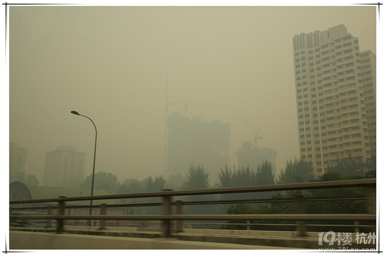 СС2013 ""l(f)F(xin)֮áSingapore