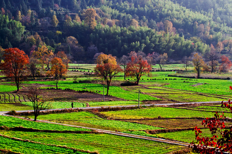萧瑟秋风今又是,换了人间---塔川