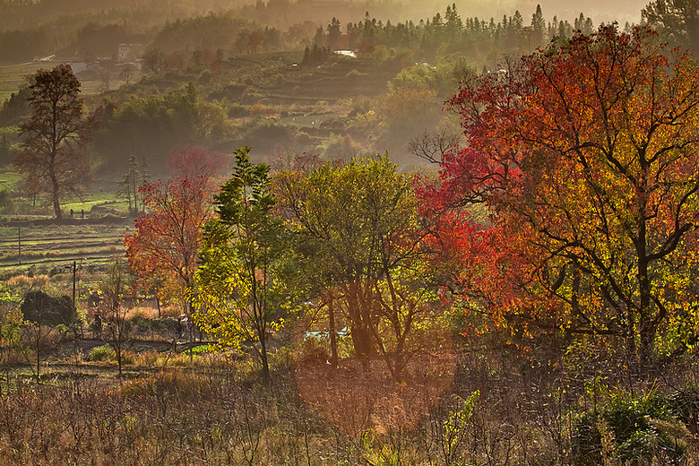 萧瑟秋风今又是,换了人间---塔川
