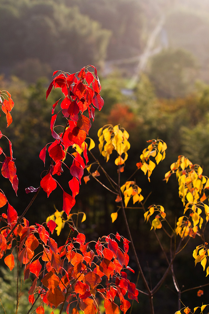 萧瑟秋风今又是,换了人间---塔川