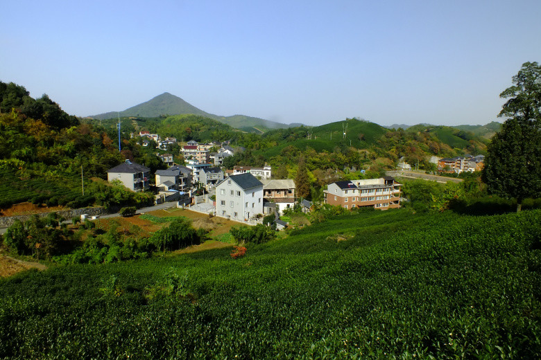 美丽山村(枫岭村)-风景照-19摄区-杭州19楼