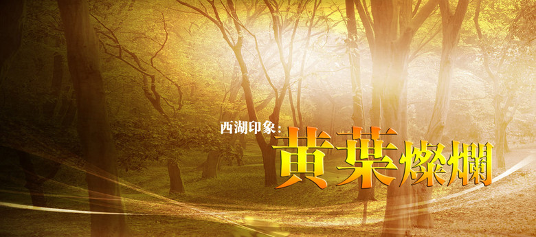 西湖印象:黃葉燦爛
