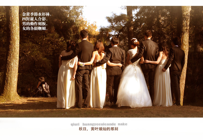 西湖印象:黃葉燦爛