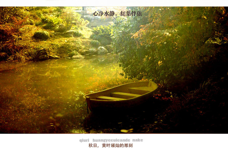 西湖印象:黃葉燦爛