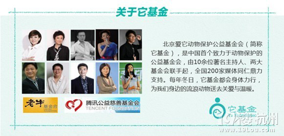 麦富迪与“它”在一起，给“TA们”送温暖