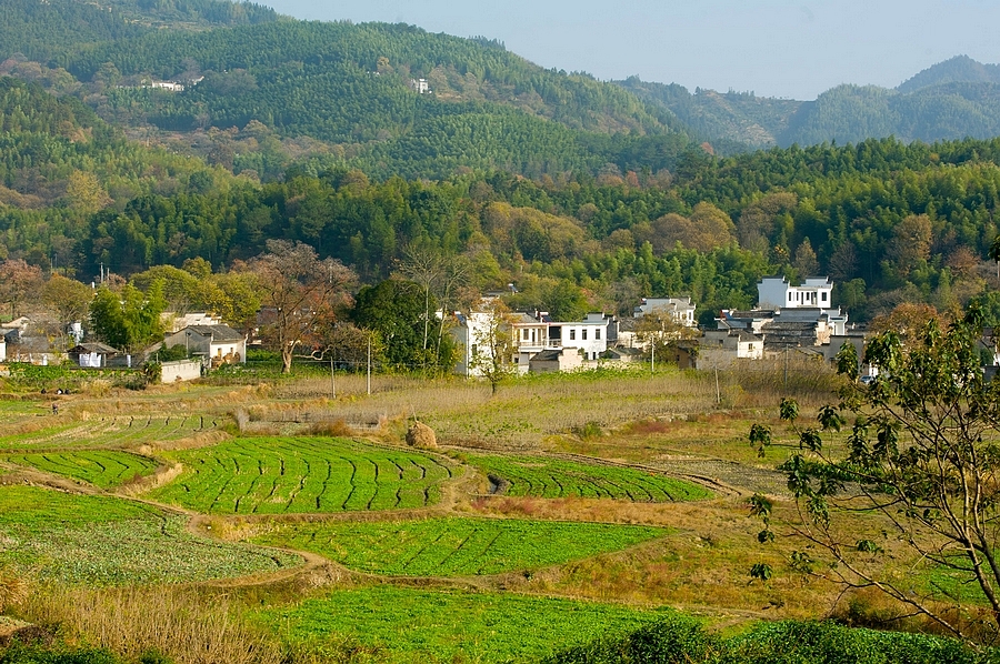 【徽州塔川】山野田间色斑斓