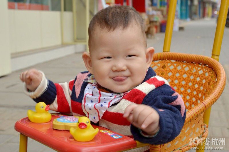 给小蛋蛋投票进入倒计3小时