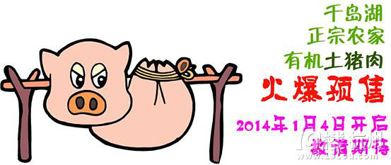 千島湖·年貨節(jié)——上山下鄉(xiāng)淘年貨