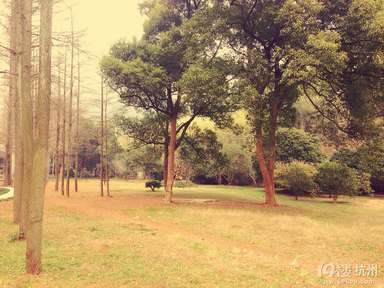 8年退役特种兵当真人cs教练,给您一种真正的部