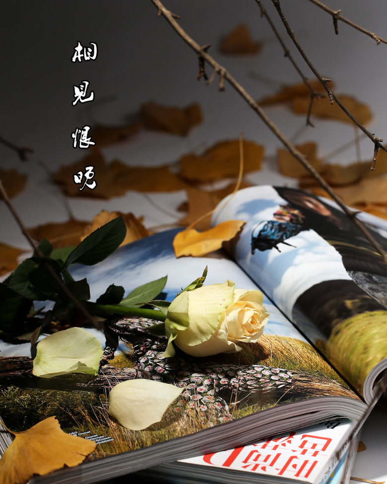 相见恨晚