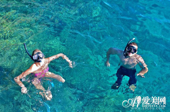 陈思成 佟丽娅 2014年1月16日 大溪地婚礼直播