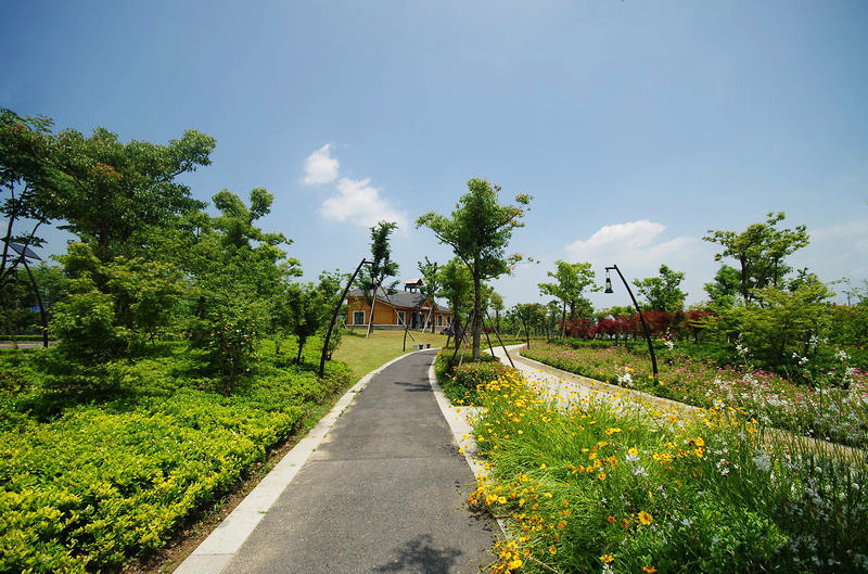 富阳新沙岛景区图片