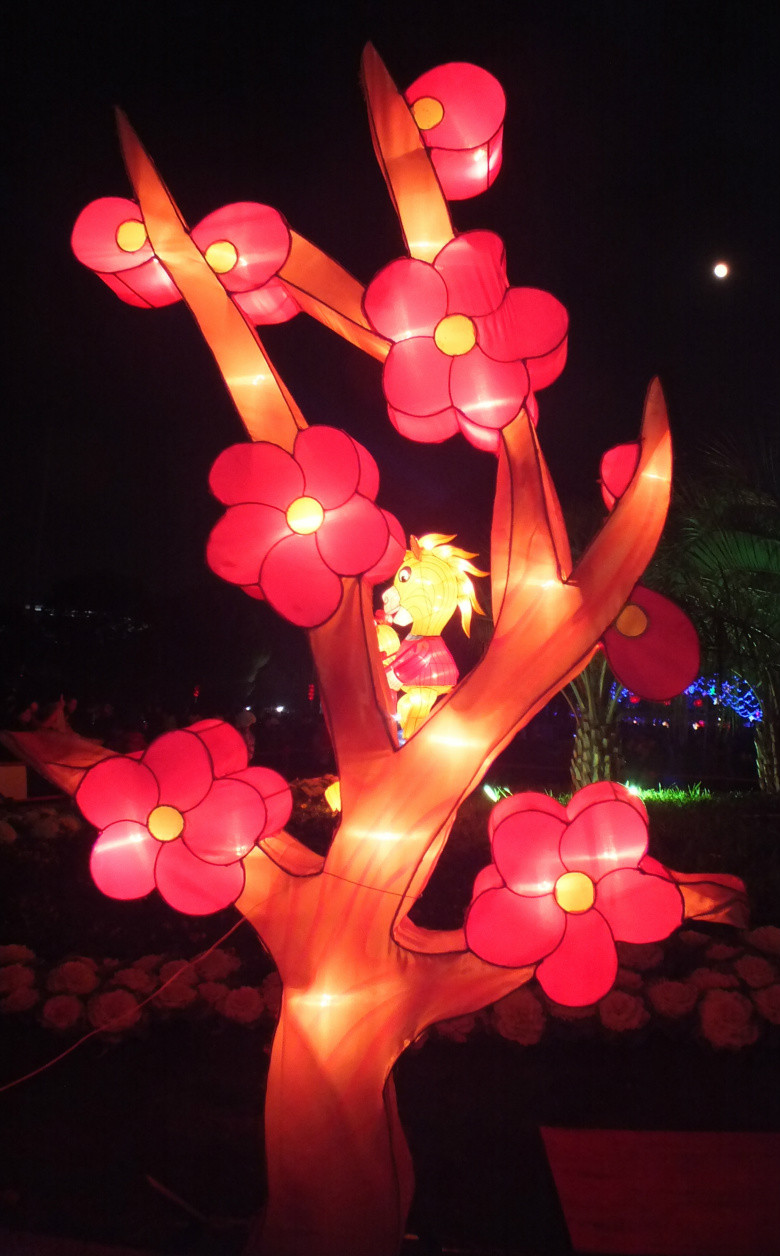 元宵花灯.各种马造型