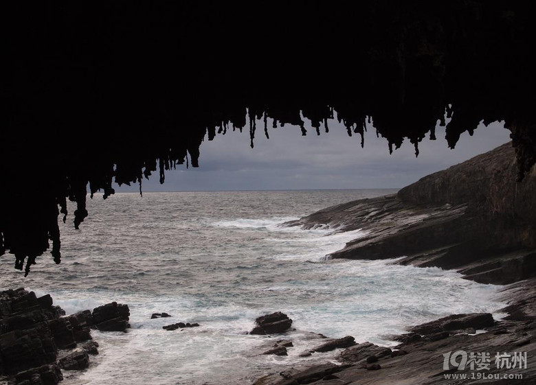 南澳大利亚袋鼠岛多日游,呼吸纯净大自然