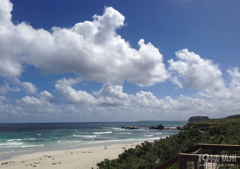 南澳大利亚袋鼠岛多日游,呼吸纯净大自然