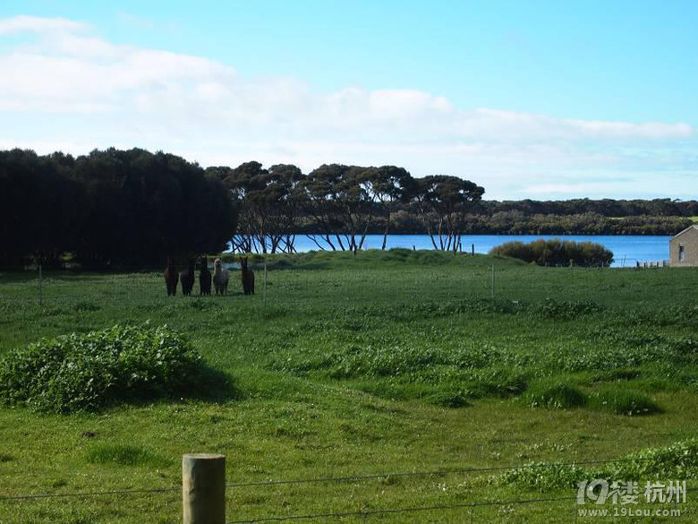 南澳大利亚袋鼠岛多日游,呼吸纯净大自然
