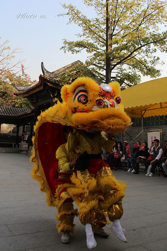 黄飞鸿舞狮队
