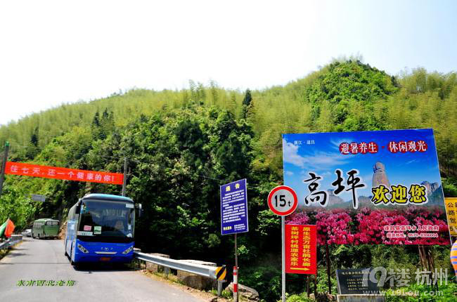 山花烂漫的遂昌高坪