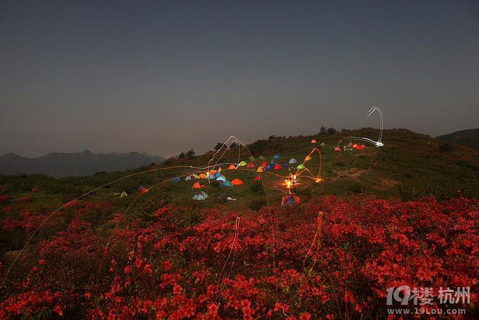 山花烂漫的遂昌高坪