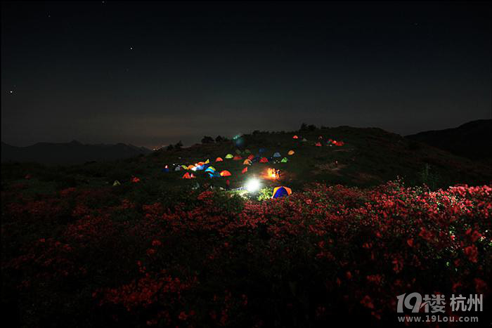 山花烂漫的遂昌高坪