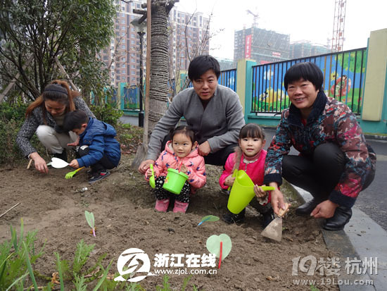播种绿色 杭城幼儿园组织植树活动-幼儿园论坛