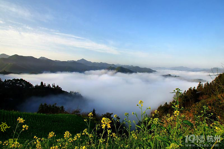 3月15日,深山古村花海漫步 安徽石潭春韵1日游