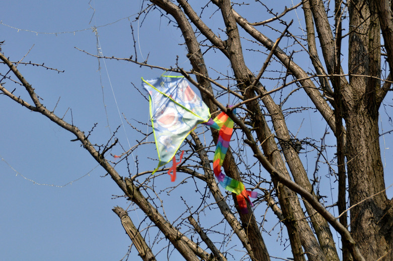 湘湖树上风筝多