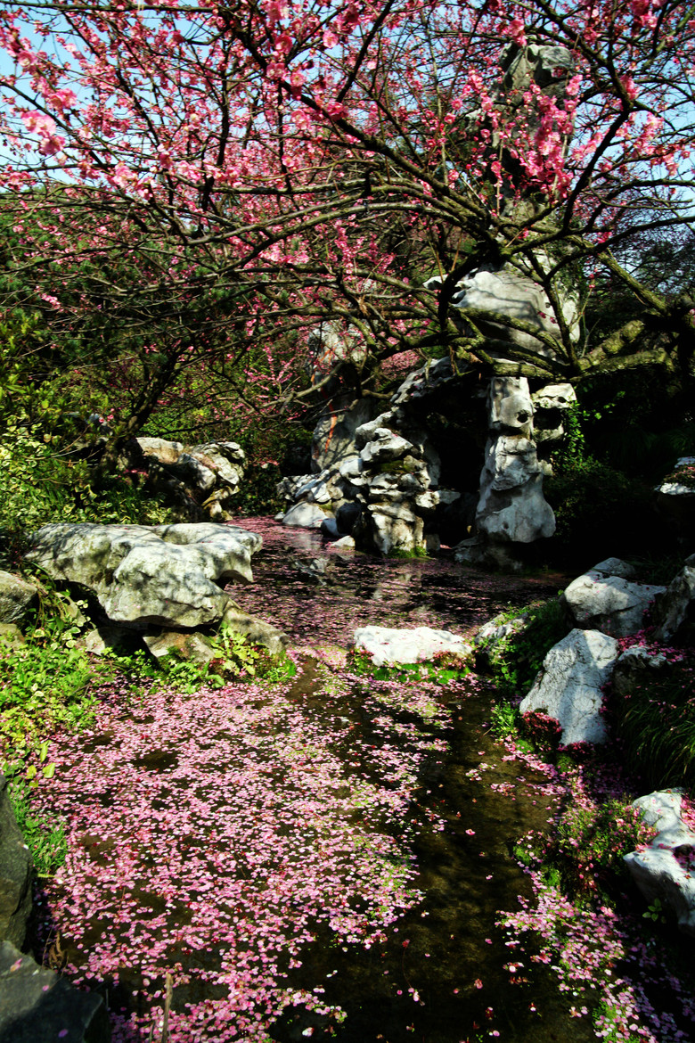 落花流水