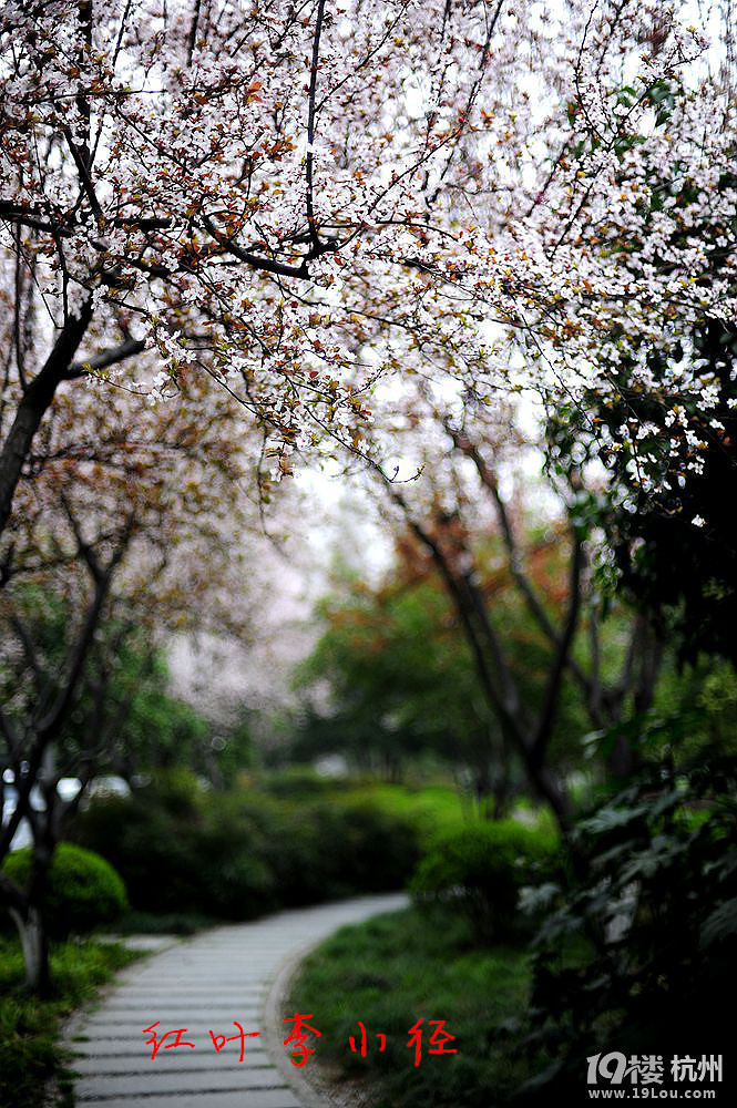 花园都市---杭州