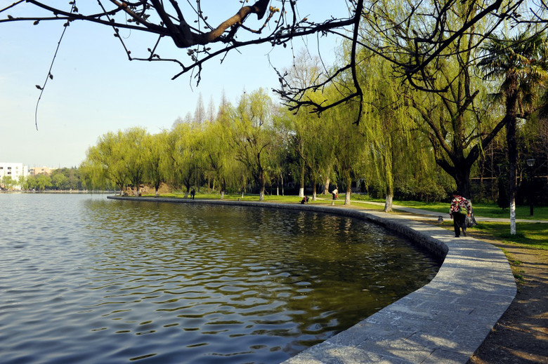 浙大农学院-风景照-19摄区-杭州19楼