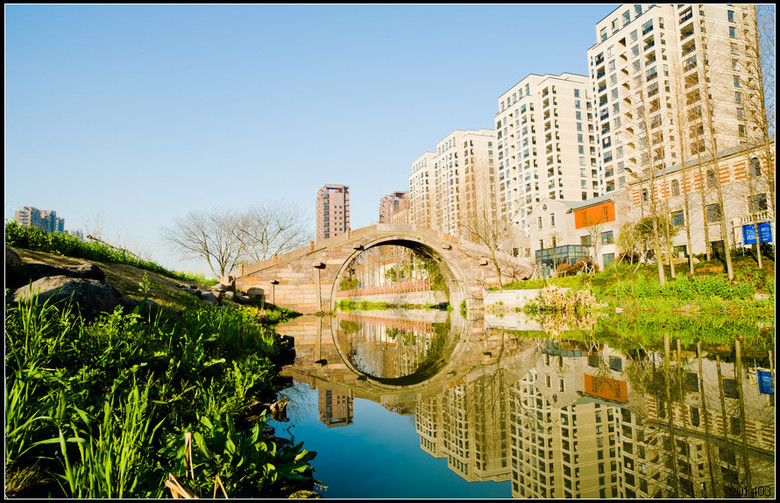 [油菜花]临平新天地