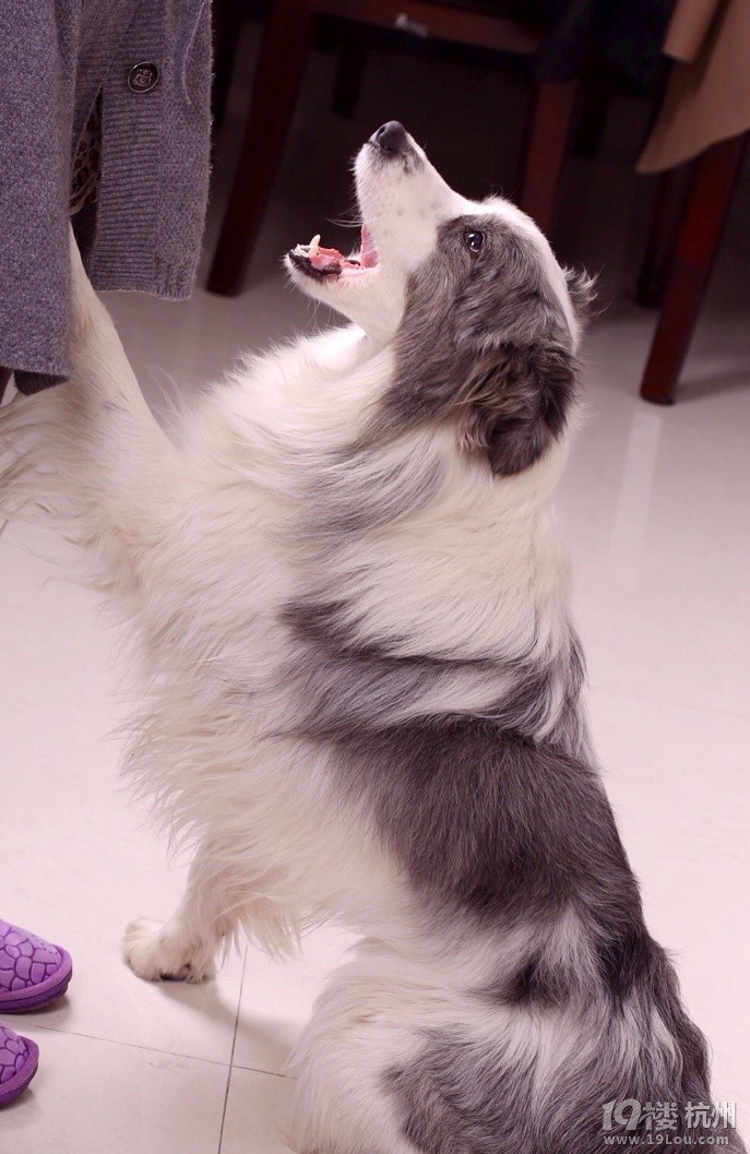 【陨石色公边牧寻合缘的配偶】