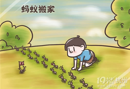 求伴 儿子满五岁了. 并不想它是个饲料鸡.放山的才健康