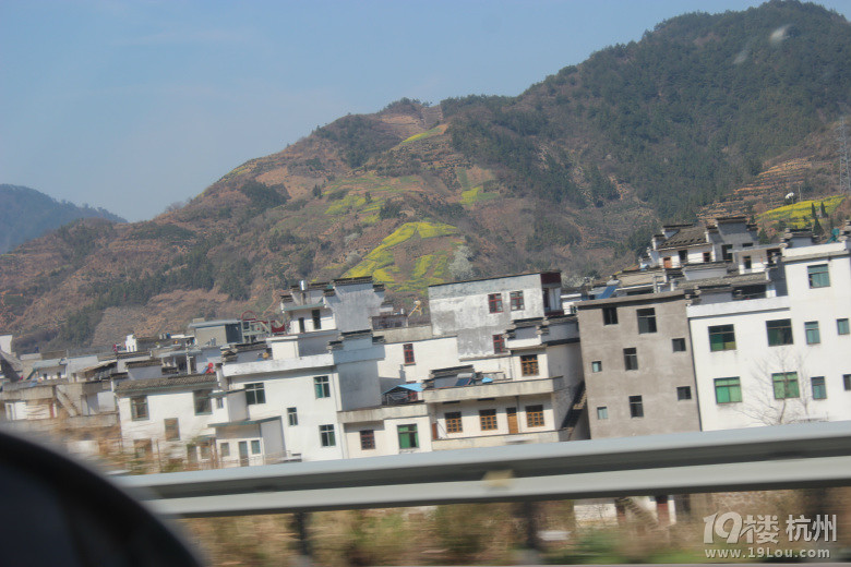 周末黃山花海自駕游----2014.03.22