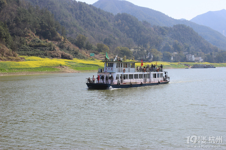 周末黃山花海自駕游----2014.03.22