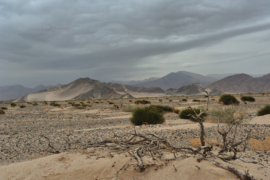 无尽荒凉-养眼搞笑-杭州19楼