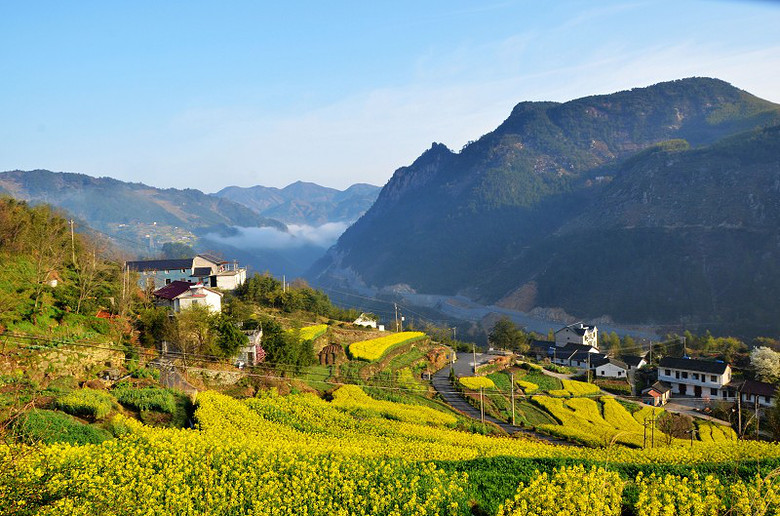 浙西大峡谷昌泉农家之采茶记